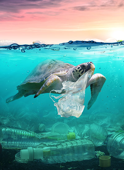 10 Plastic pollution